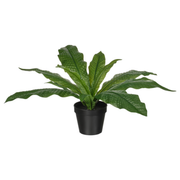 Plante artificielle Fougère en pot noir 12cm
