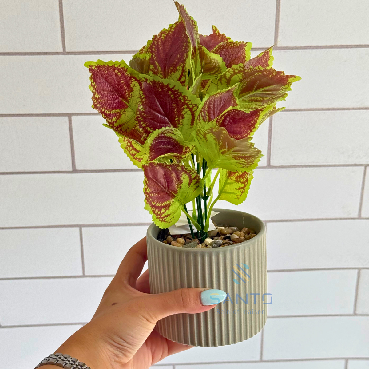 Plante artificielle Royal Coleus avec pot en céramique