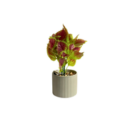 Plante artificielle Royal Coleus avec pot en céramique
