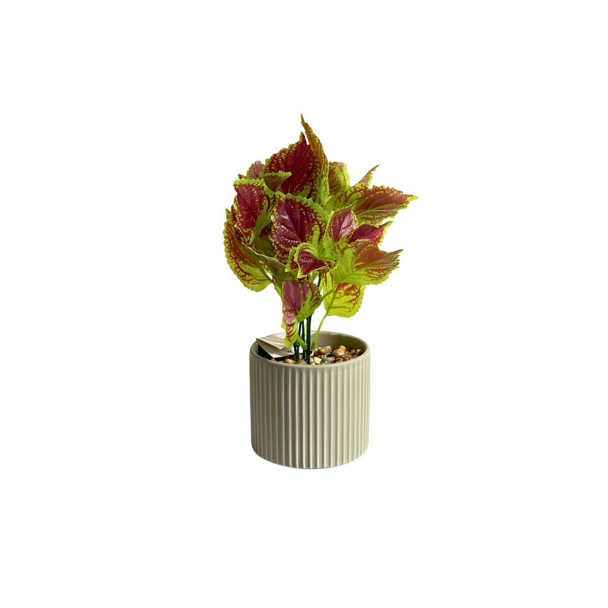 Plante artificielle Royal Coleus avec pot en céramique