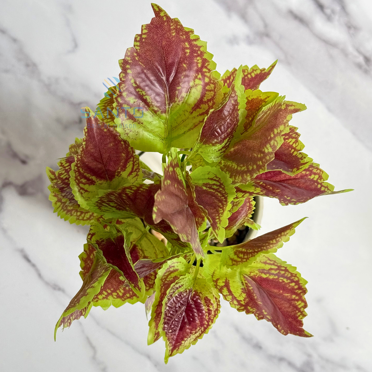 Plante artificielle Royal Coleus avec pot en céramique