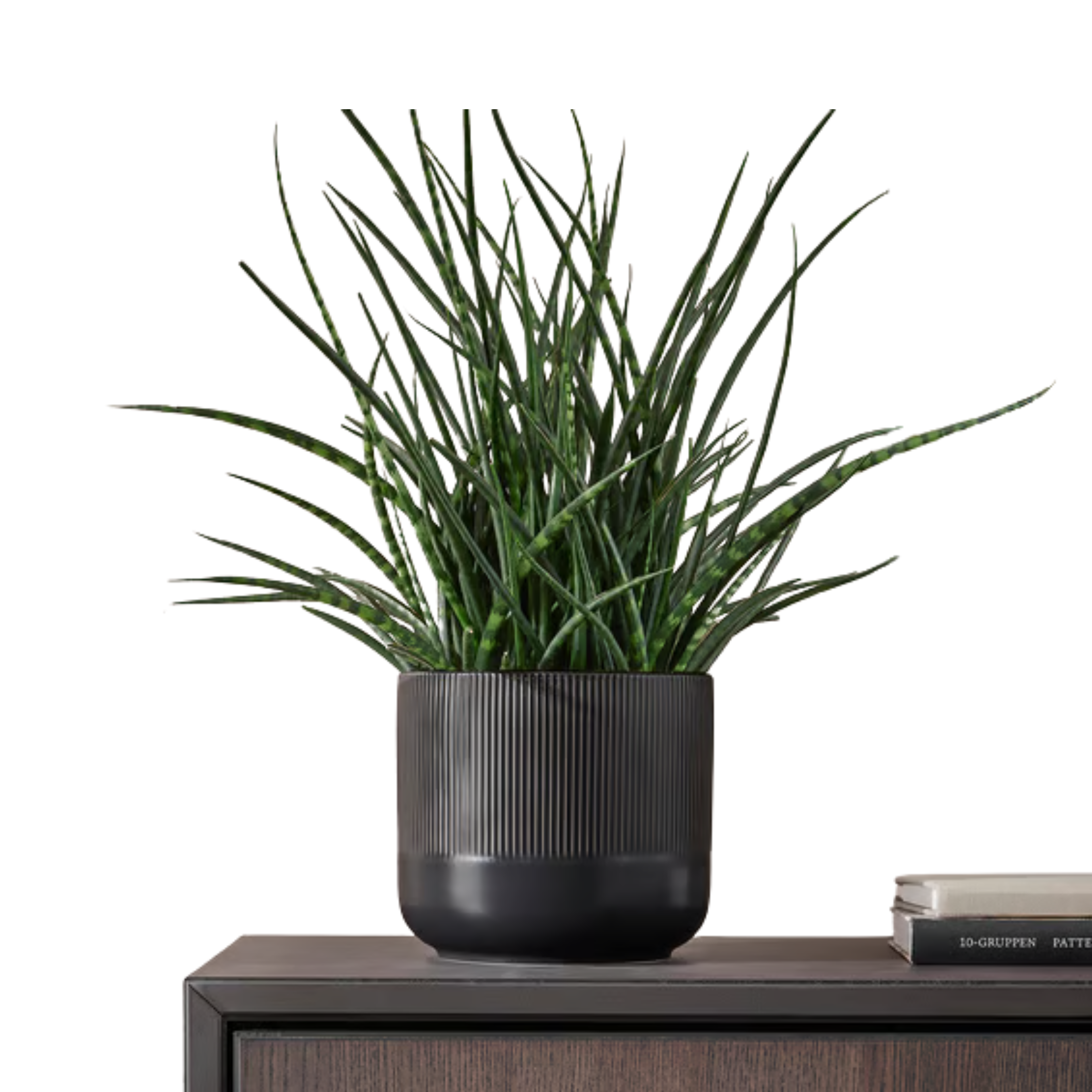 Pot Multi-usage noir 15cm