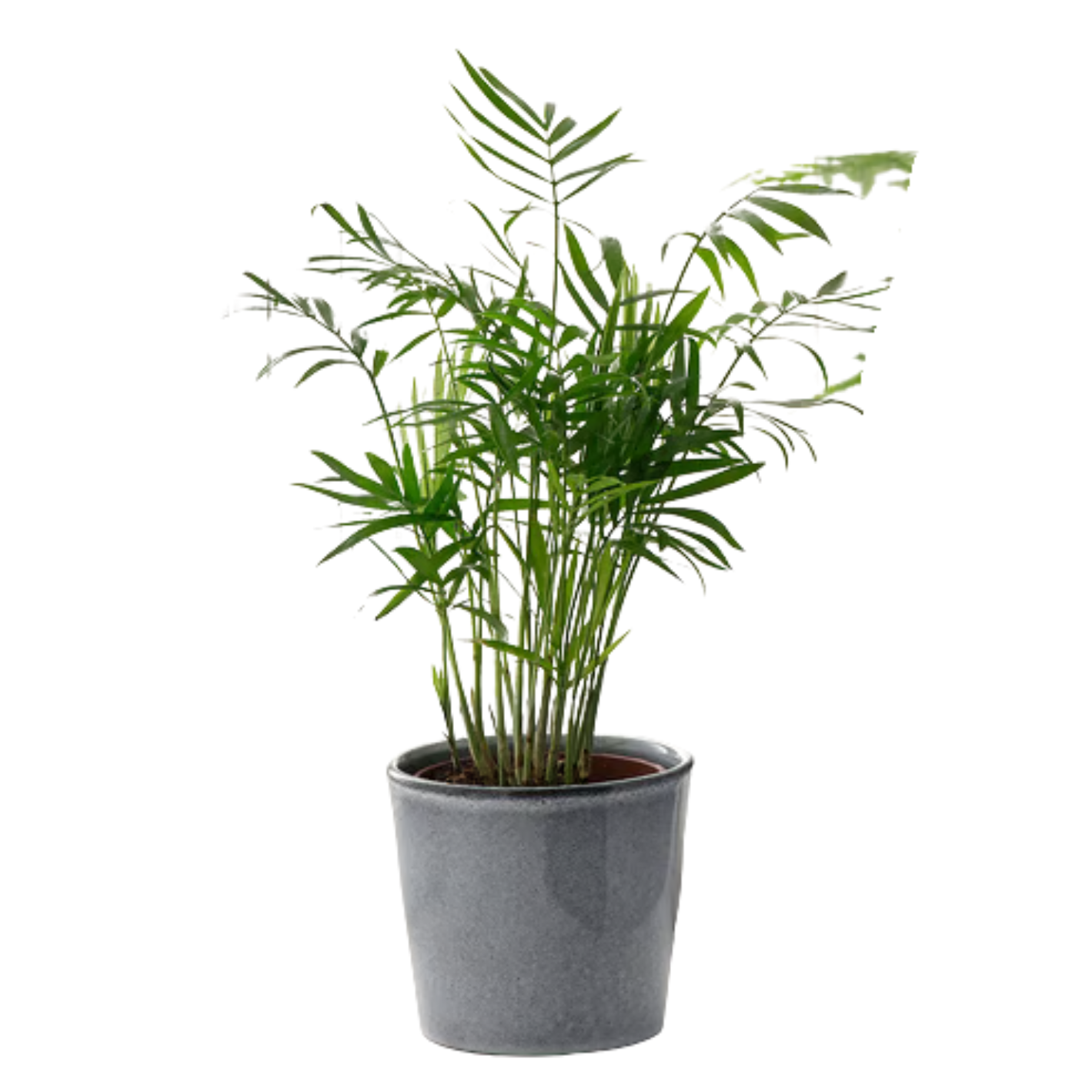 Petit pot multi-usage en céramique gris minéral 10cm