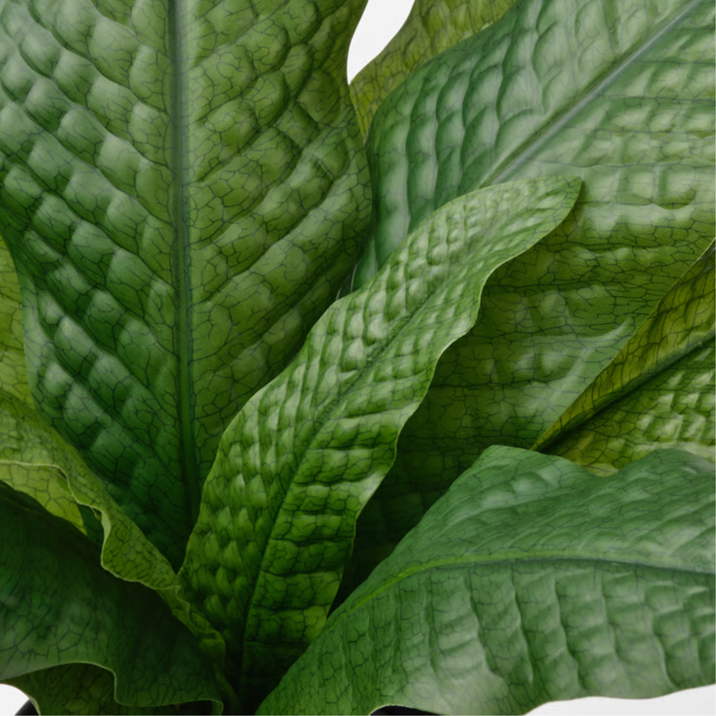 Plante artificielle Fougère en pot noir 12cm