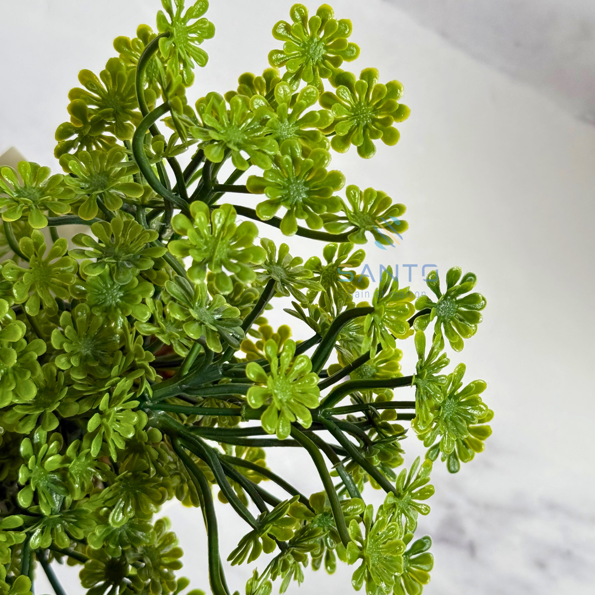 Plante Artificielle Mini Sedum en Pot Céramique