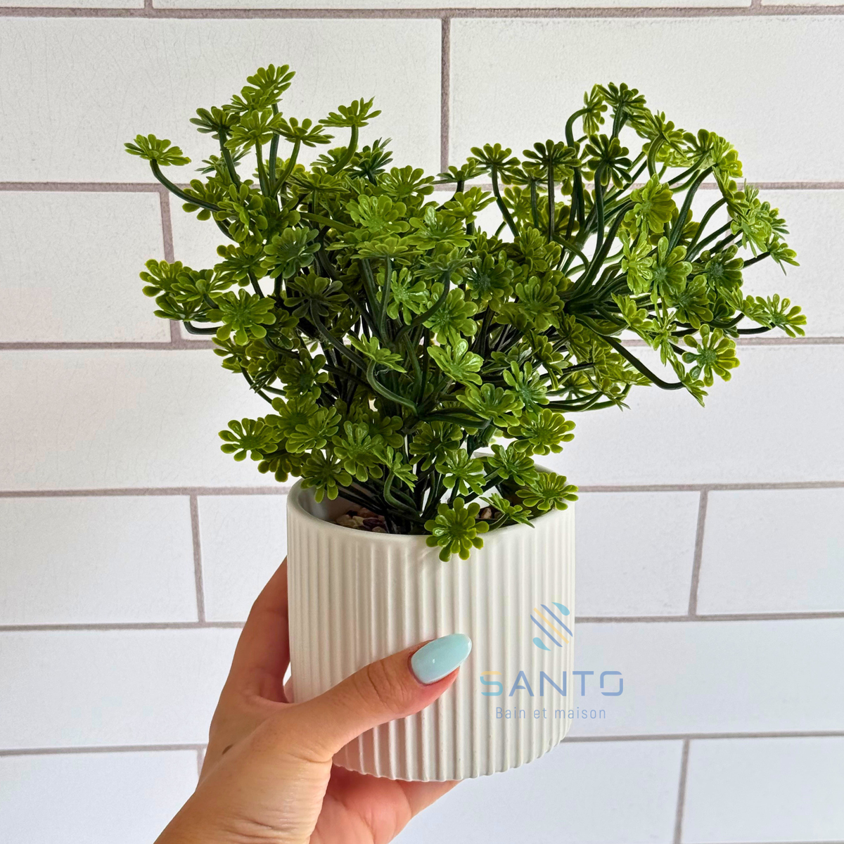 Plante Artificielle Mini Sedum en Pot Céramique