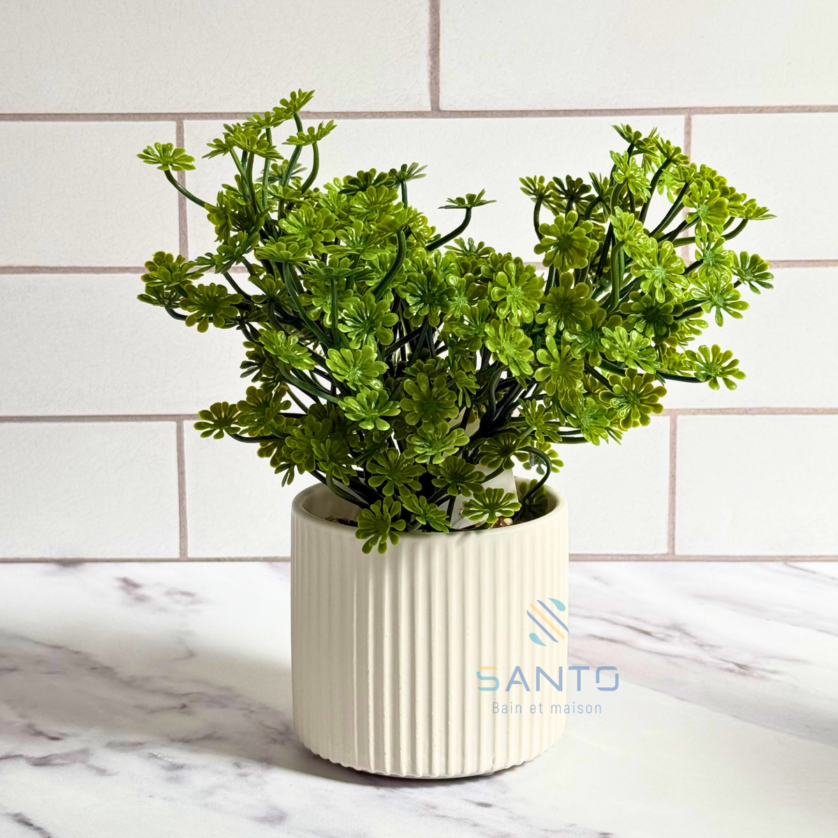 Plante Artificielle Mini Sedum en Pot Céramique