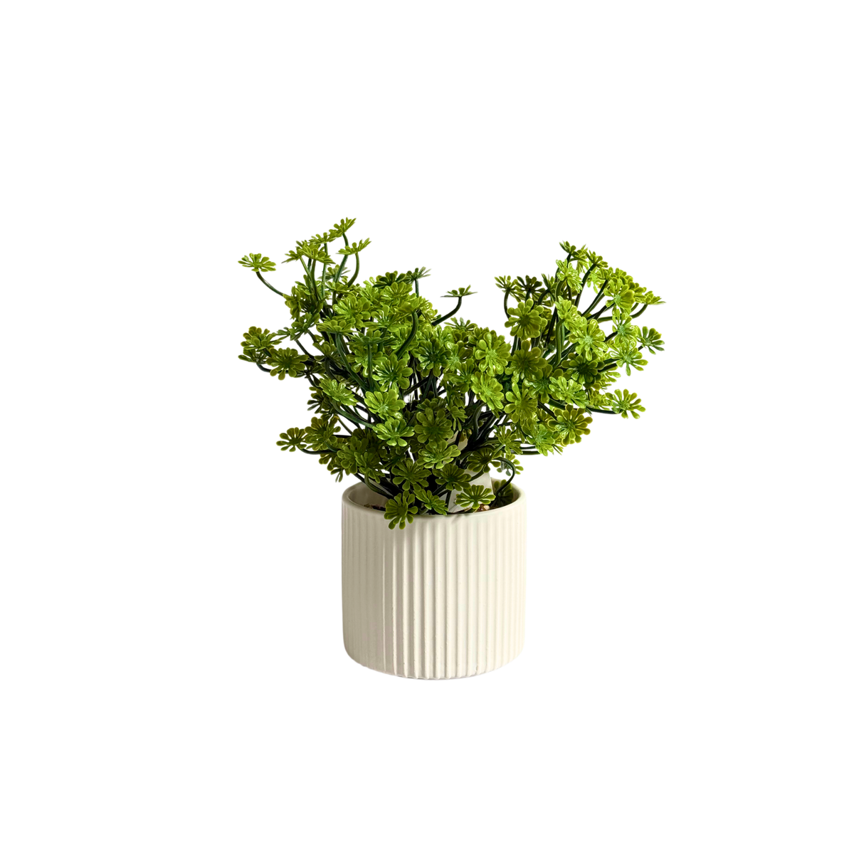 Plante Artificielle Mini Sedum en Pot Céramique