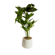Plante Artificielle Ficus Green en Pot Décoratif en plastique