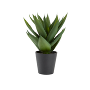 Plante artificielle verte 25cm